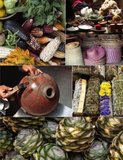 Red de Inventarios Bioculturales