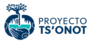 Ts'onot