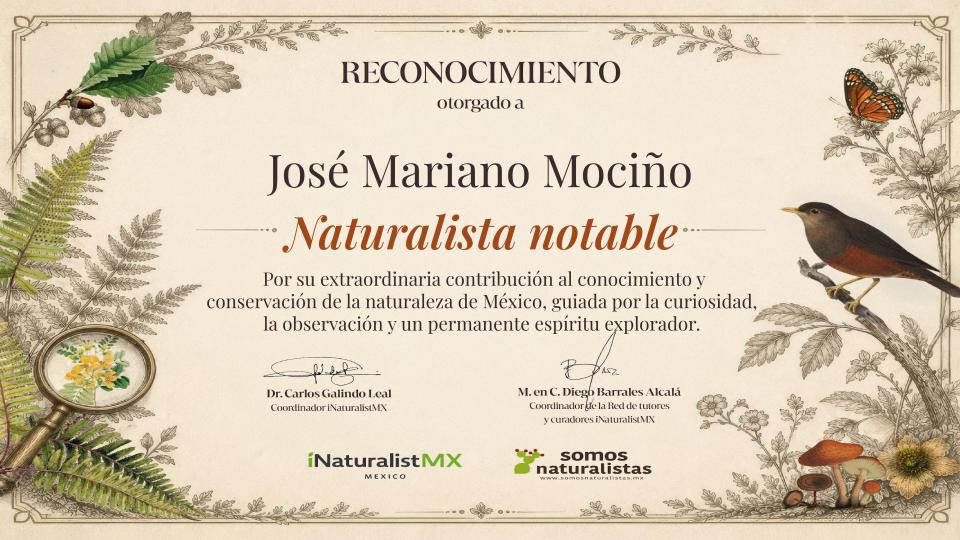 Mariano Mociño